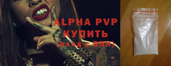 бошки Гусев