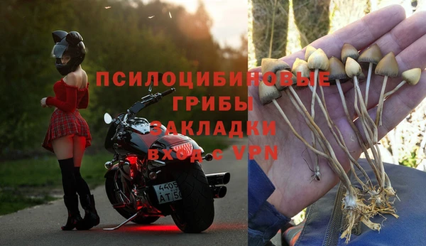 бошки Гусев