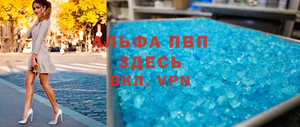 бошки Гусев