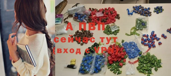 бошки Гусев