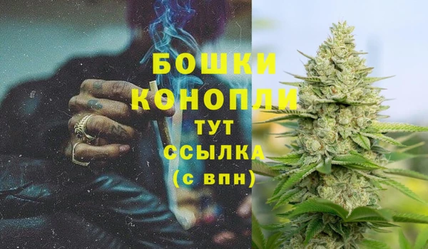 spice Гусь-Хрустальный
