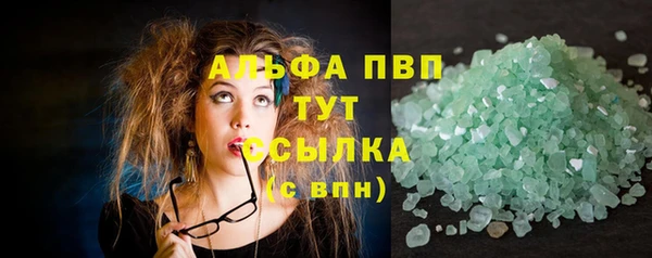 бошки Гусев