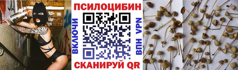 Галлюциногенные грибы мицелий  Камышин 